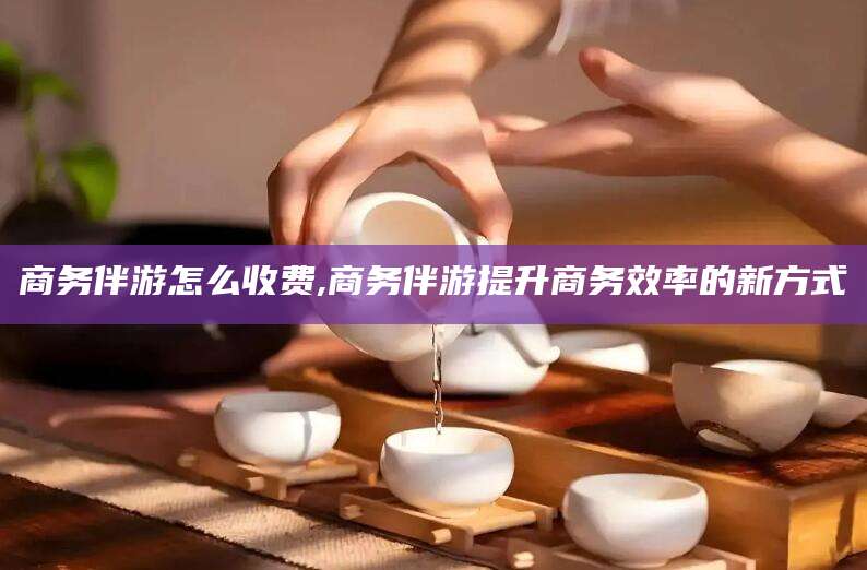 太康商务伴游怎么收费,商务伴游提升商务效率的新方式